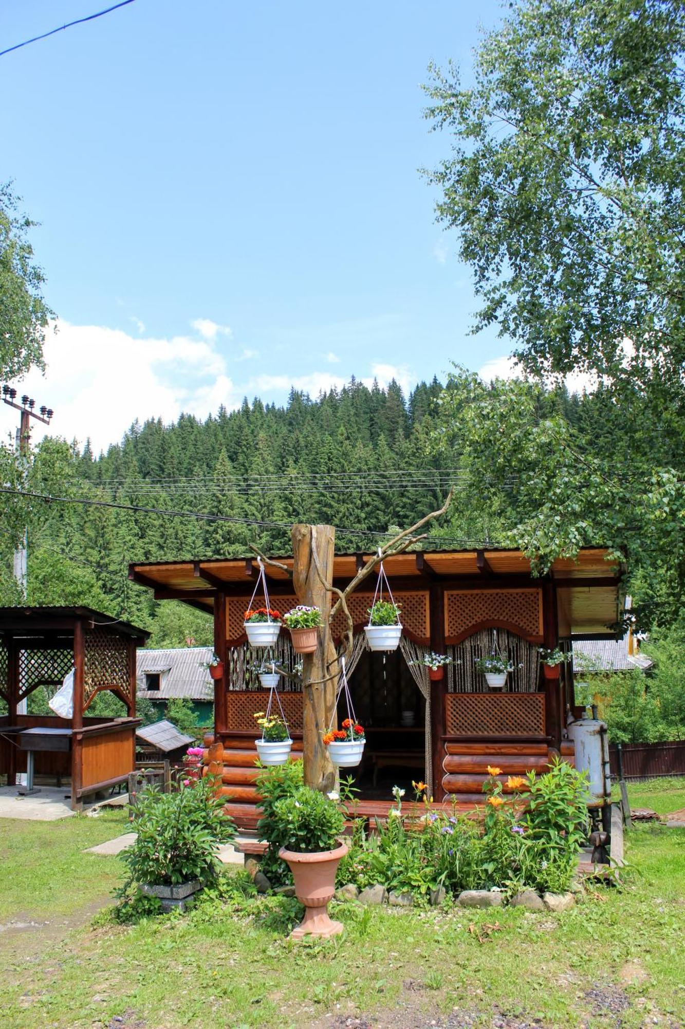 Садиба "У Валентини" Yablunytsia Buitenkant foto